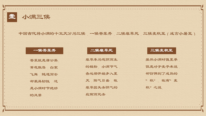 盘子麦穗小满节气PPT模板
