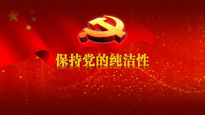 保持党的纯洁性 PPT 范文