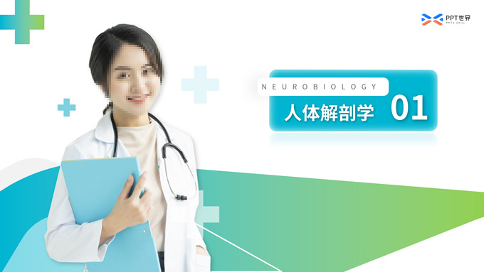 大学医学专业教学课件PPT模板