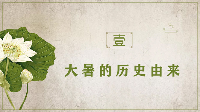 荷花大暑节气介绍PPT模板