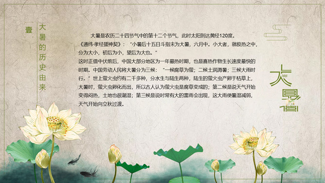 荷花大暑节气介绍PPT模板