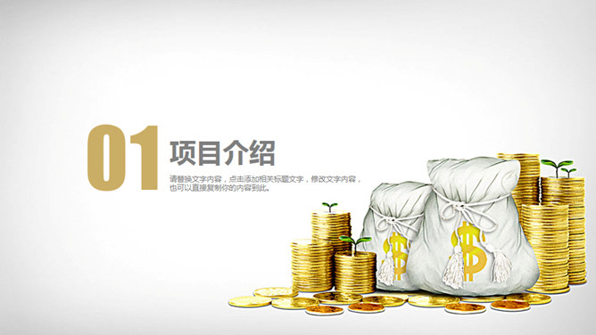 金融投资行业金币主题PPT模板