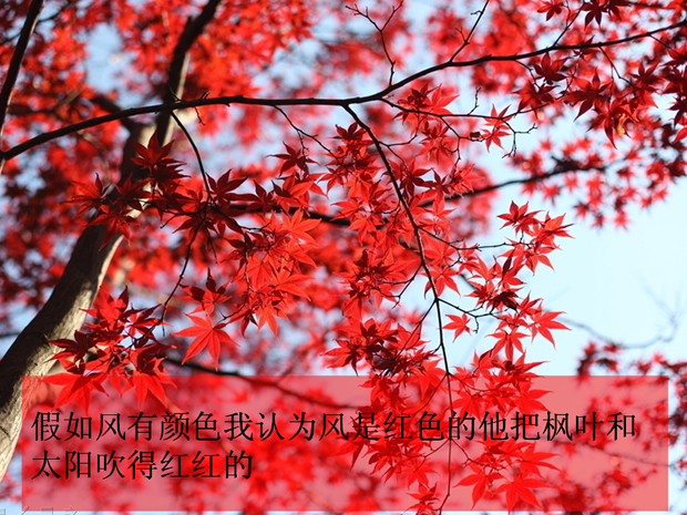 漂亮的自然风景配图Ppt模板