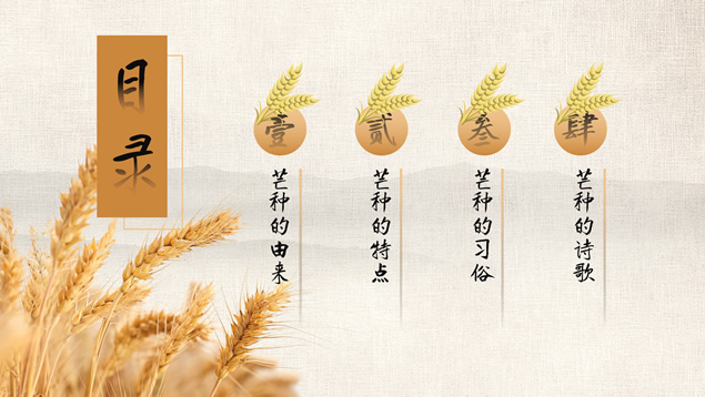 二十四节气之芒种PPT模板