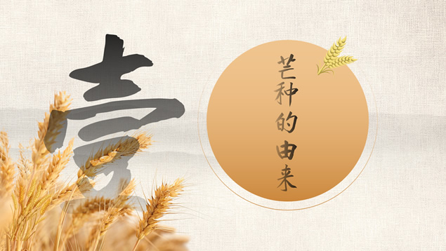 二十四节气之芒种PPT模板