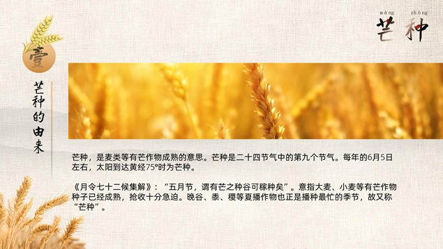 二十四节气之芒种PPT模板