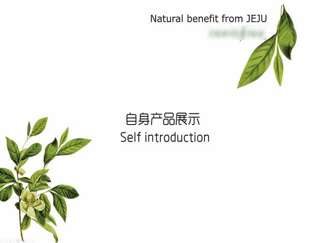 清爽自然美女PPT模板