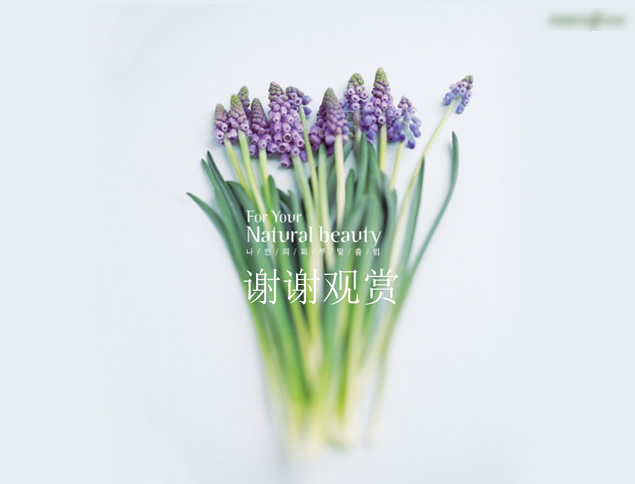 清爽自然美女PPT模板