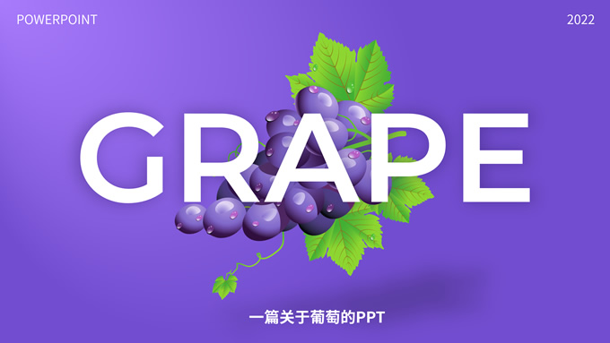 简洁大气紫色葡萄介绍PPT模板