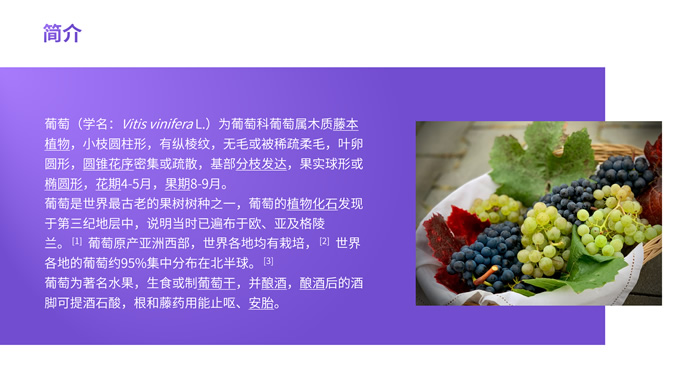 简洁大气紫色葡萄介绍PPT模板