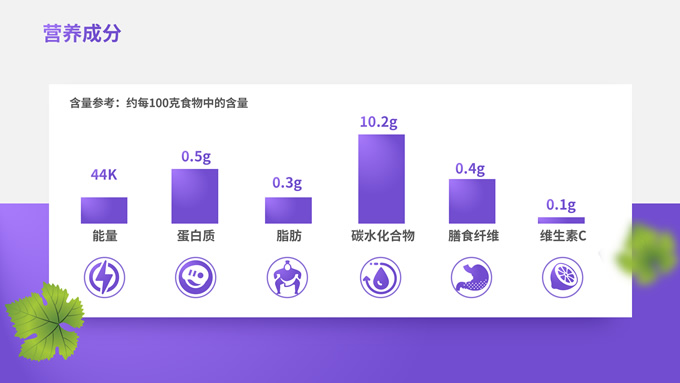 简洁大气紫色葡萄介绍PPT模板