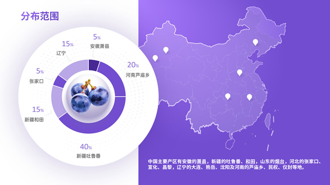 简洁大气紫色葡萄介绍PPT模板