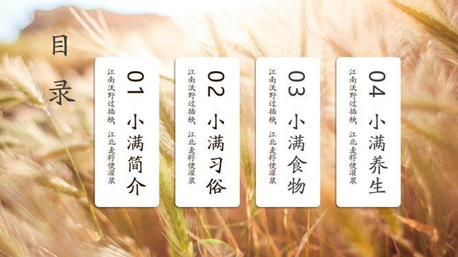 麦穗麦田小满节气PPT模板