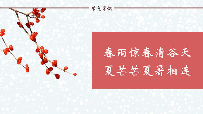 雪花小鸟话冬至PPT模板