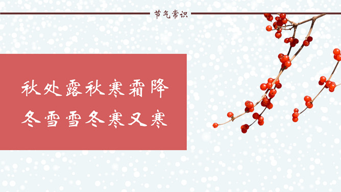 雪花小鸟话冬至PPT模板