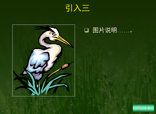 中学生物课课件PPT模板