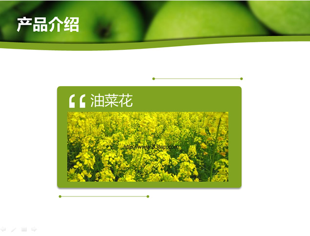 青苹果主题PPT模板