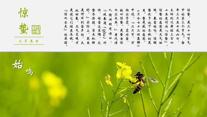 二十四节气介绍PPT模板