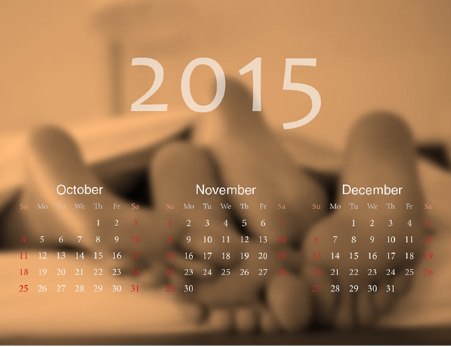 2015全年日历PPT模板