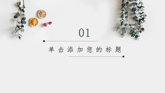 淡雅文艺清新自然风PPT模板