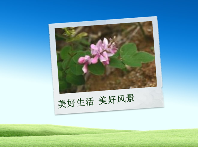 家庭相册PPT模板