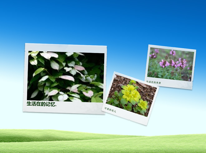 家庭相册PPT模板
