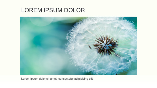 清新卡通风格大树草地PPT模板